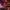 54758327459_a85de1567e_k