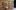 IMG_3106-scaled-aspect-ratio-2435-1920