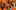 Orange patern with wokrkshop photos